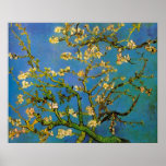 Van Gogh ; Arbre d'amande de floraison, fleurs vin Affiche