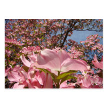 Verabredung kardiert die rosa Blumen Hartriegel-Bl Visitenkartenvorlagen