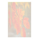 Verblaßtes Herbst-Pracht-Briefpapier Individuelle Druckpapiere