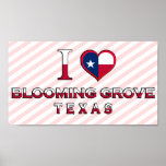 Verger de floraison, le Texas Poster
