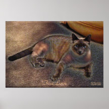 VÉRITABLE affiche d'art de Kitty d'AMOUR