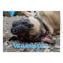 Verrückte Zuse leere Gruß-Karte