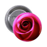 Versprechen-Rose Anstecknadelbutton