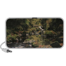versteckter Nebenfluss mystischen Waldes 2 iPod Speaker