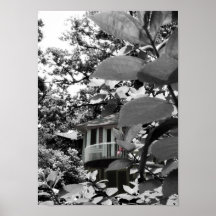 Verstecktes Haus Posterdrucke