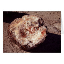 Versteinertes Holz Grußkarten