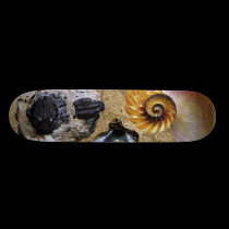 Versteinertes Skateboard skateboards