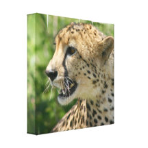 Verwirrungcheetah-Leinwand-Druck Leinwand Druck