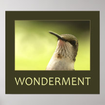 Verwunderungs-Plakat