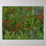 Verwüstungs-Wildnis-Blumenplakat