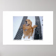 Vier Tatzen-Antrieb Plakatdrucke