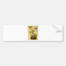 Vintage Edelweiss Bumper Sticker