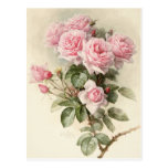 Vintage viktorianische romantische Rosen Postkarte