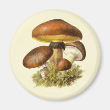 Vintager Pilz Browns Magnete
