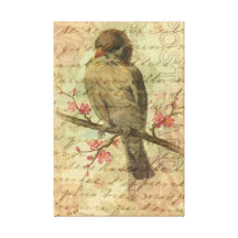Vintager Spatz Galerie Gefaltete Leinwand