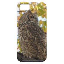 Virginia-Uhu in einem Baum Hülle Fürs iPhone 5