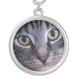 Visage gris de chaton colliers personnalisés