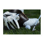 Posters sports