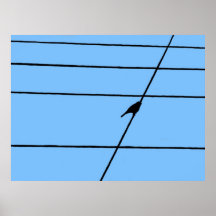 Vogel auf einem Drahtplakat