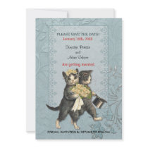 Vornehme Wedding Katzen