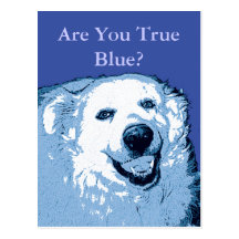 Wahre blaue Hundedemokrat-Postkarte