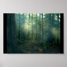 Walddrama Plakatdrucke