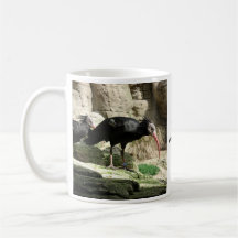 Waldrapp IBIS Schwarzes mit Federn versehener Voge Tee Tasse