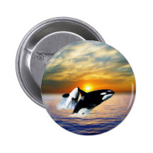 Wale am Sonnenuntergang Anstecknadelbutton