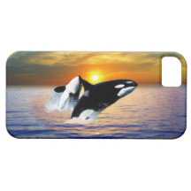 Wale am Sonnenuntergang iPhone 5 Etui
