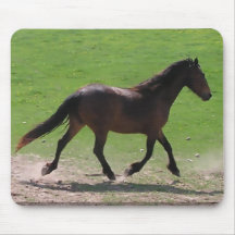 Warmblood Mousepad Tapis De Souris