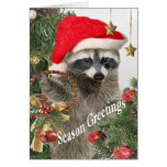 Waschbär-Feiertags-Grüße Karten
