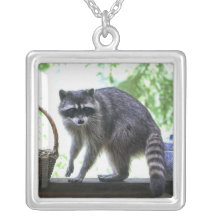 Waschbär-und Plätzchen-Glas Amulett