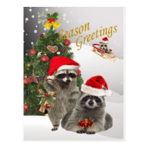 Waschbär-Weihnachten eine Zeit für Spaß Postkarten