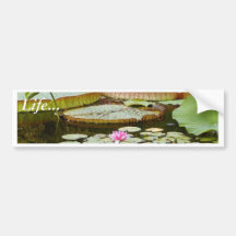 Wasser-Lilien-Auflage-Teiche Auto Aufkleber