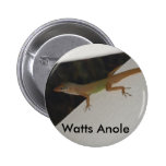 Watt Anole Reptil-Knopf- Anstecknadel