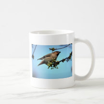Waxwing Tassen