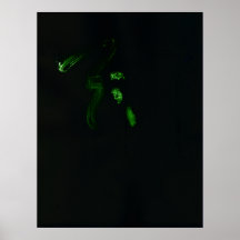 WDV - 055 - Riss-Schmiede Plakate