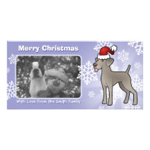 Weihnachten Weimaraner Photokarten