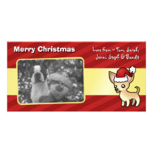 WeihnachtsChihuahua (glatter Mantel) Foto Grußkarte