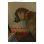 Weimaraner Valentinsgruß Grußkarten