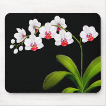 Weiße Phalaenopsis-Orchideen-Blumen Mousepad