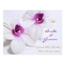 Weiße Postkarten der Orchidee Save the Date