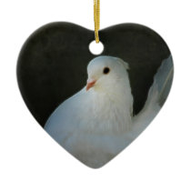 Weiße Taube ist ein Symbol des Friedens Ornamente