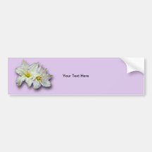 Weißer Clematis Autosticker