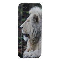 Weißer Löwe in der Ruhe iPhone 4 Hüllen
