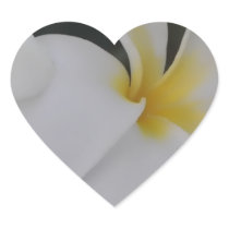 Weißer Plumeria-tropischer Aufkleber