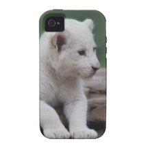 Weißes Löwejunges 2 des Babys iPhone 4 Hüllen