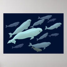 Weißwal-Wal-Kunst-Druck Marinelife Wal-Malerei Posterdrucke