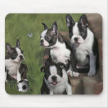 Welpen Bostons Terrier mauspads