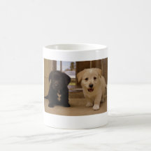 Welpen Teetasse